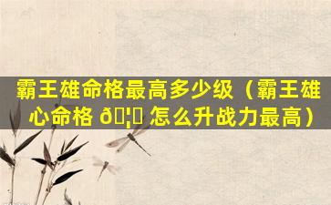 霸王雄命格最高多少级（霸王雄心命格 🦅 怎么升战力最高）